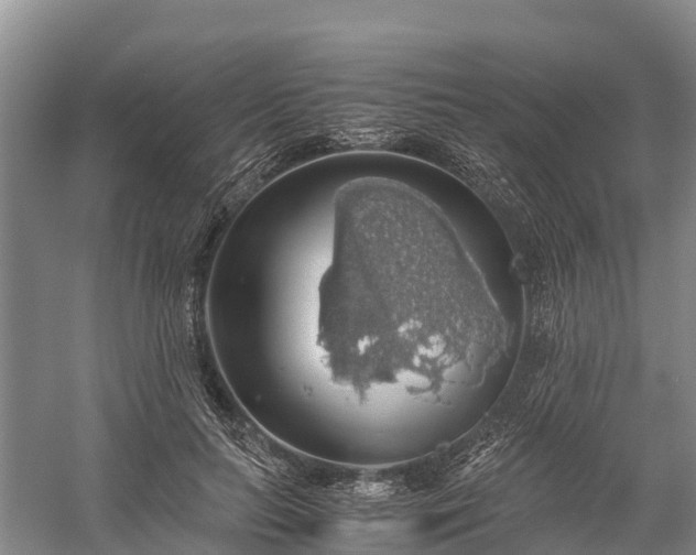 X0000058780647200510071610