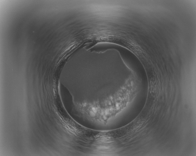 X0000058780648200510071610