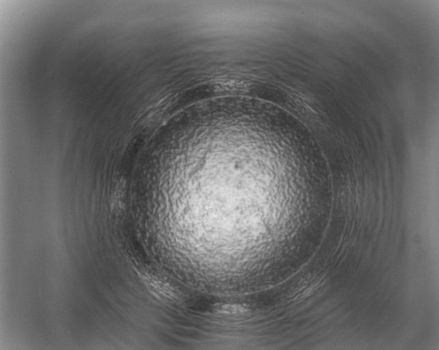 X0000058780649200510071610