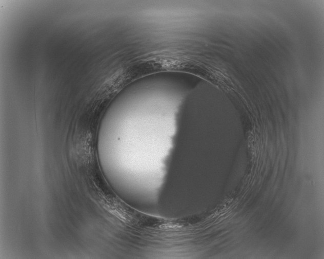 X0000058780650200510071610