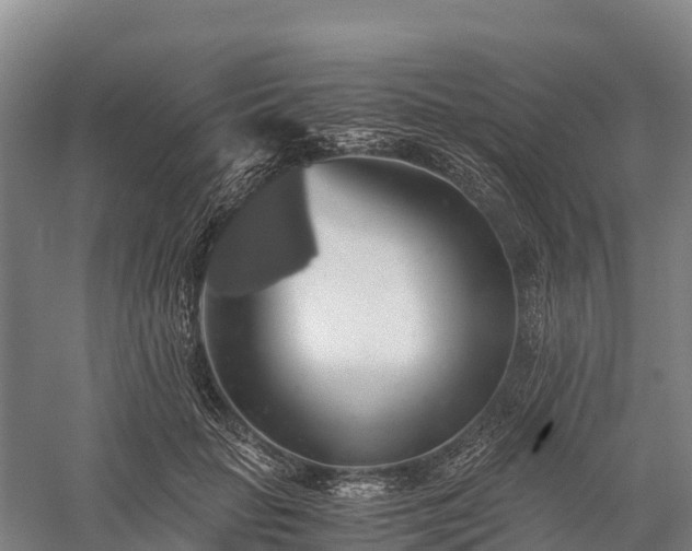 X0000058780653200510071610