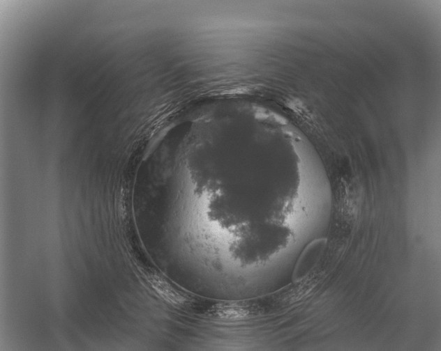 X0000058780658200510071610