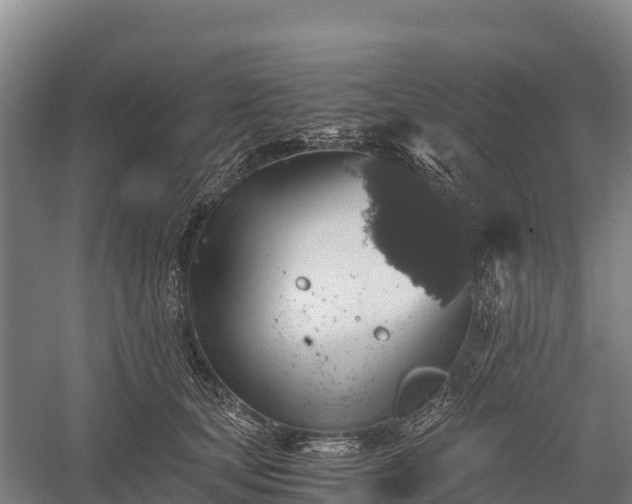 X0000058780659200510071610