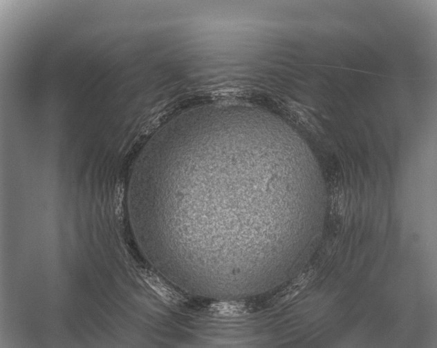 X0000058780660200510071610