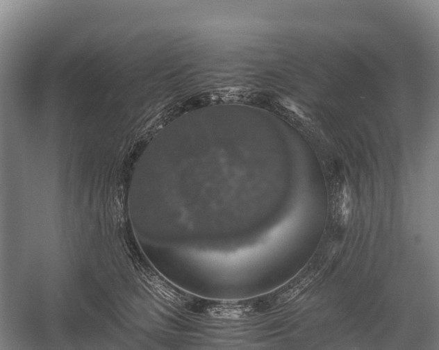 X0000058780661200510071610