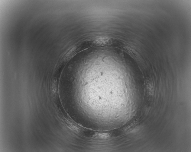 X0000058780665200510071610