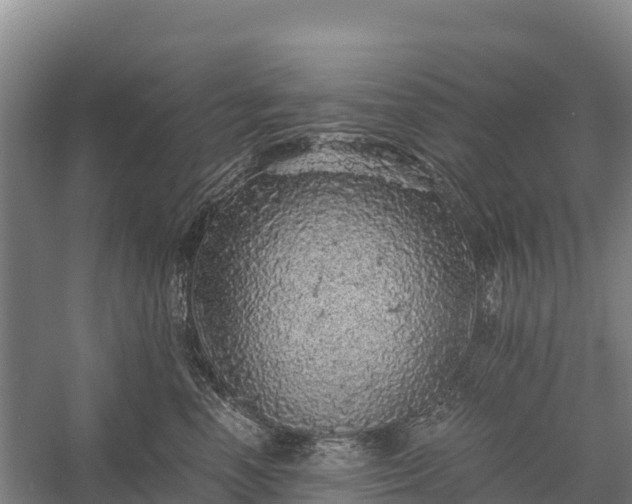 X0000058780666200510071610