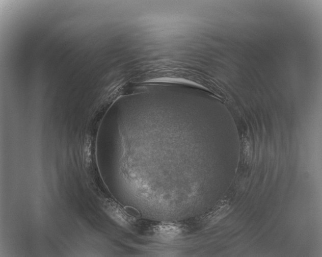 X0000058780668200510071610