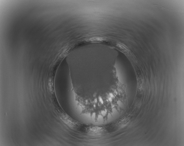 X0000058780669200510071610