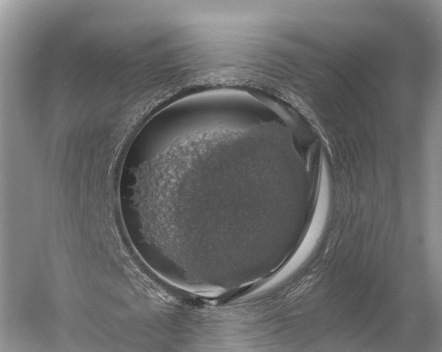 X0000058780673200510071609