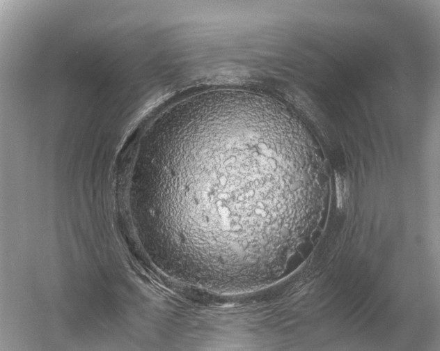 X0000058780675200510071609