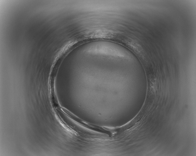 X0000058780678200510071609