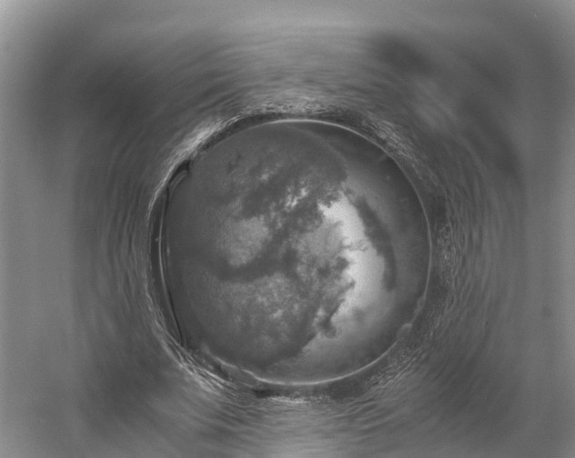 X0000058780679200510071609