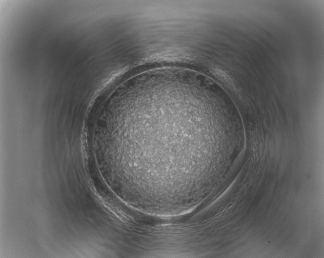 X0000058780680200510071609