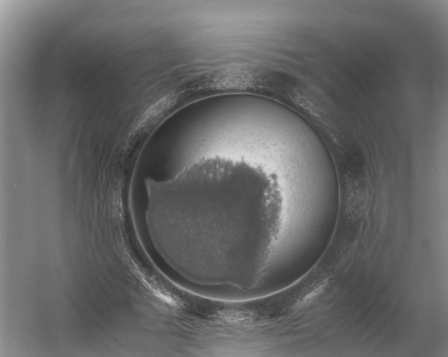 X0000058780681200510071609