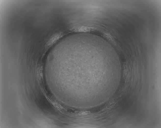 X0000058780683200510071609