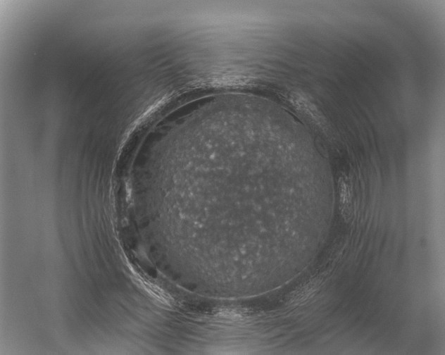 X0000058780684200510071609