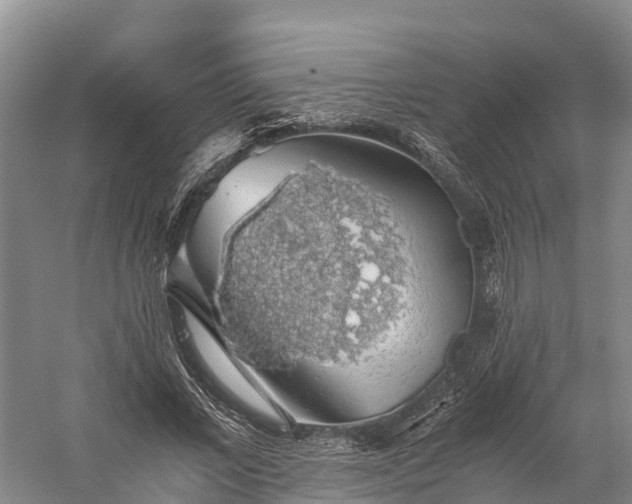 X0000058780685200510071609