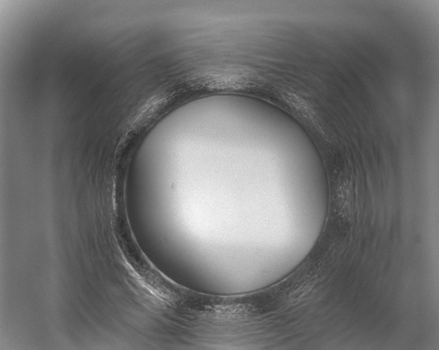 X0000058780686200510071609