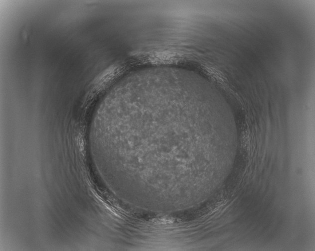 X0000058780687200510071609