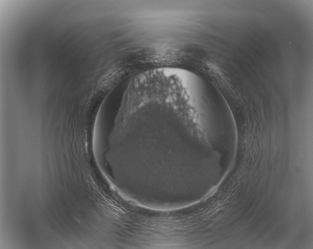 X0000058780689200510071609