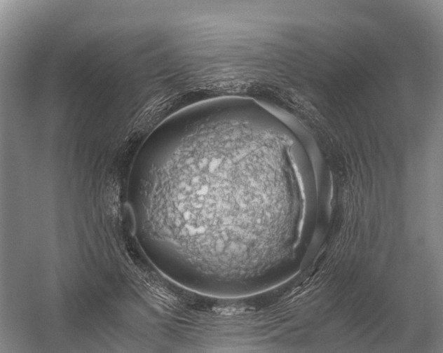 X0000058780693200510071609