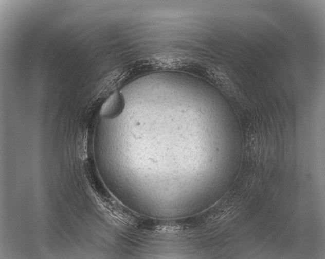 X0000058780694200510071609