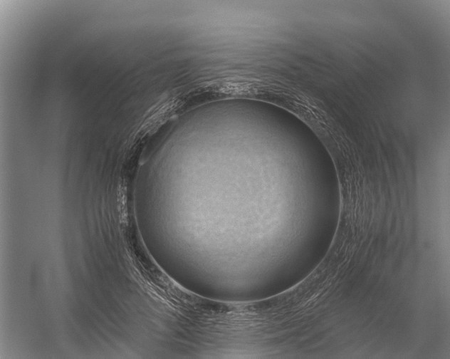 X0000058780696200510071609