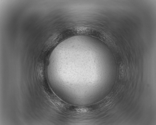 X0000058780698200510071609