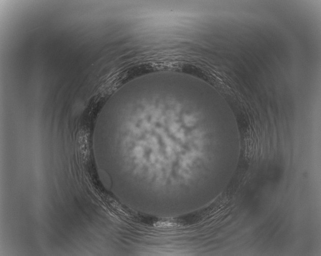 X0000058780699200510071609