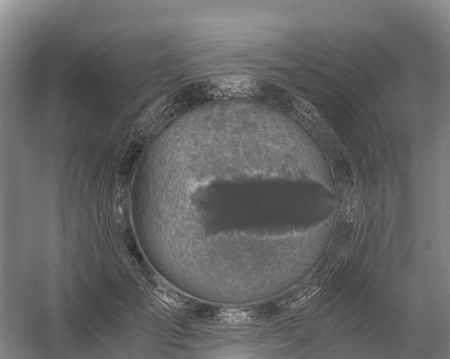 X0000058780701200510071609