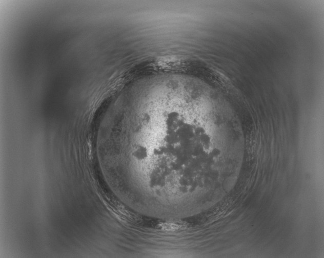 X0000058780703200510071609