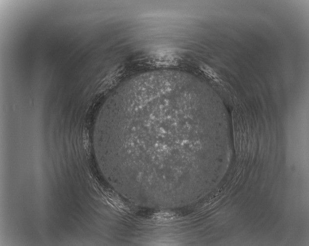 X0000058780704200510071609