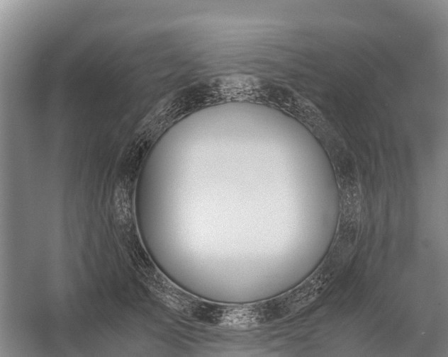 X0000058780705200510071609