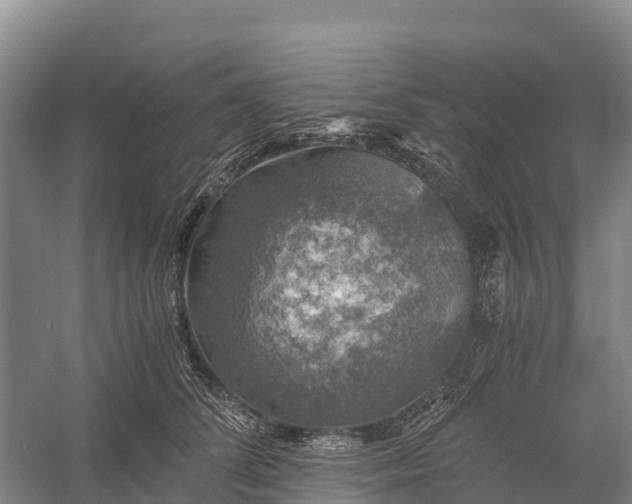 X0000058780708200510071609