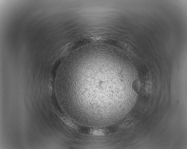 X0000058780710200510071609