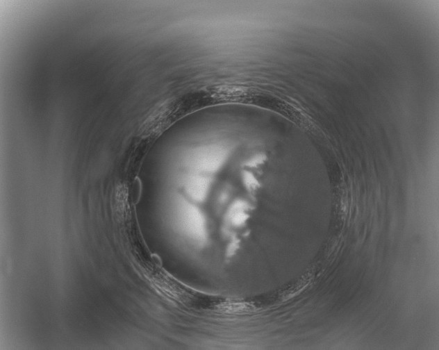 X0000058780711200510071609