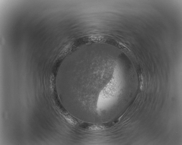 X0000058780712200510071609