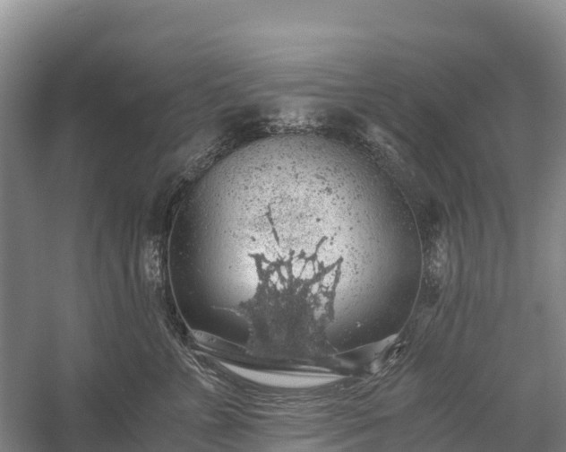 X0000058780715200510071609