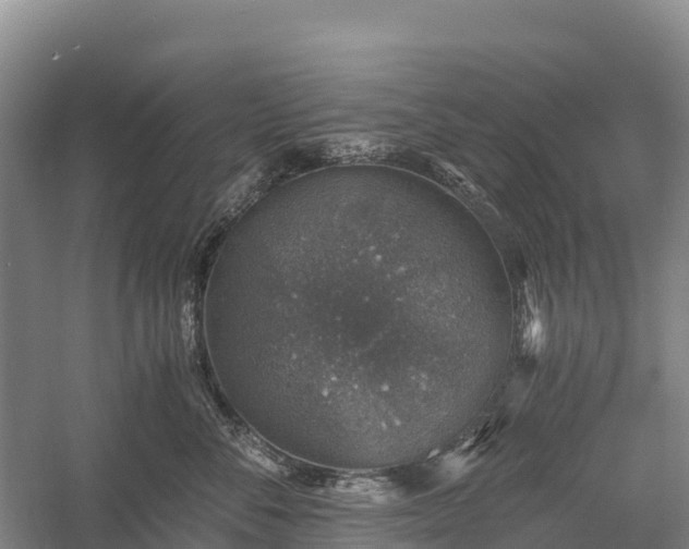 X0000058780716200510071609