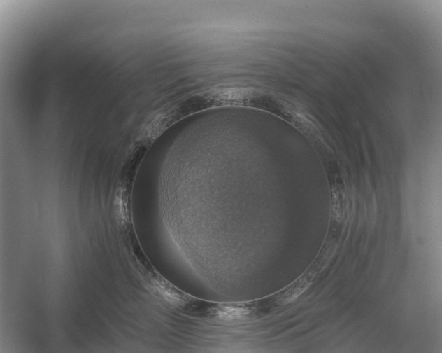 X0000058780718200510071609