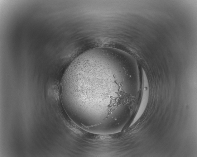 X0000058780719200510071609