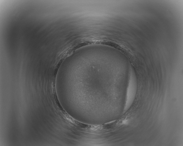 X0000058780720200510071609