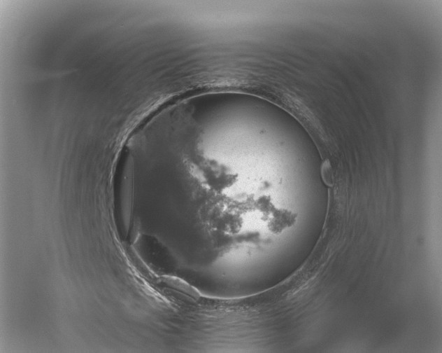 X0000058780721200510071608