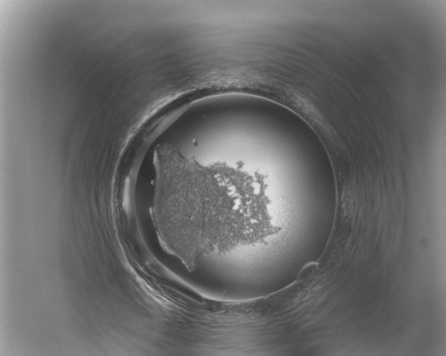 X0000058780722200510071608