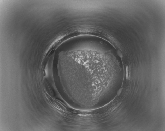 X0000058780723200510071608