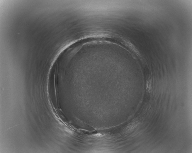 X0000058780724200510071608