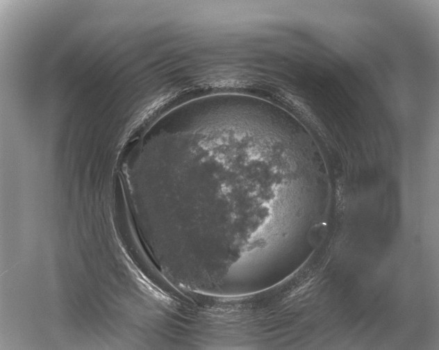 X0000058780725200510071608