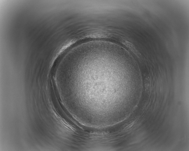 X0000058780727200510071608