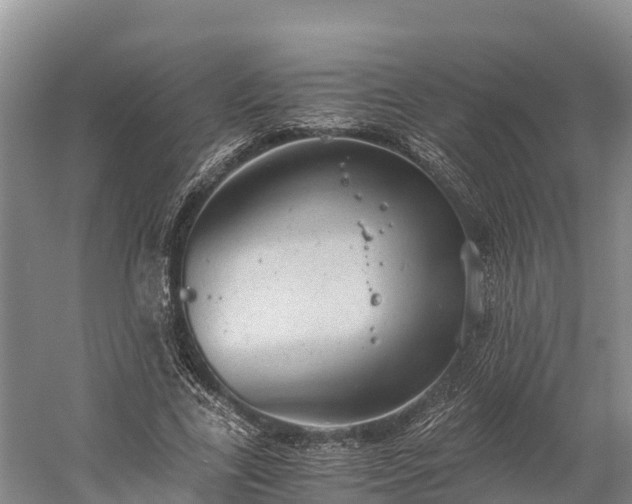 X0000058780731200510071608